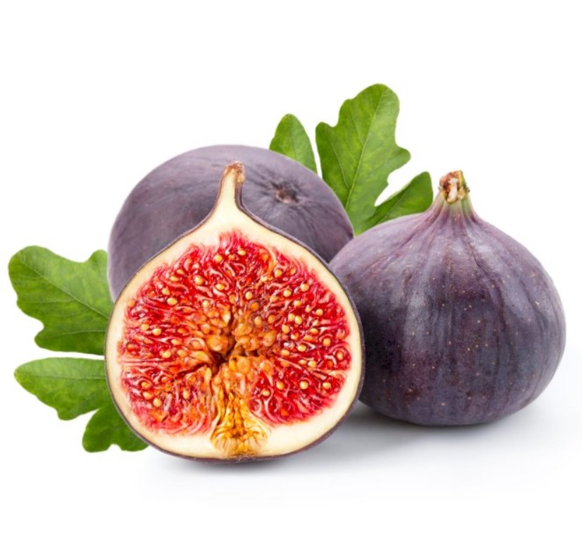 نهال انجیر سیاه